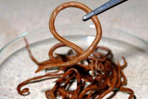 Round worms on a glass dish