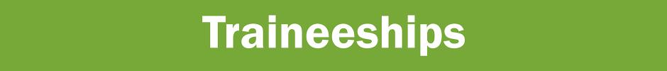 Green deep banner with the word traineeship in white text. 