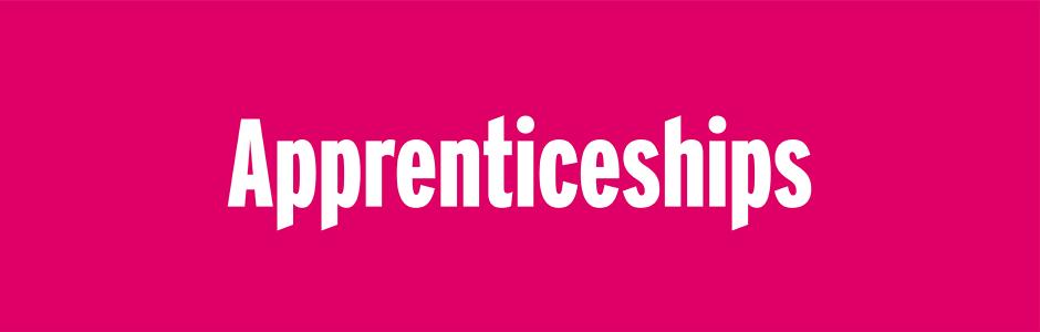 Deep banner on a pink background with the word Apprenticeships in white text. 