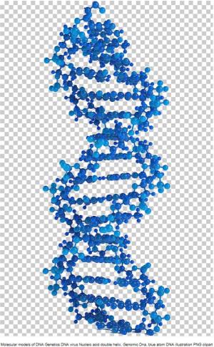 DNA tests can uncover your family history Photo of DNA - DNA tests can uncover your family history
