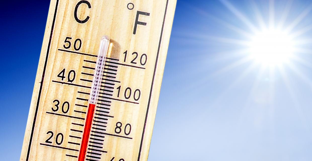 Extreme heat weather warning - information and advice | nidirect
