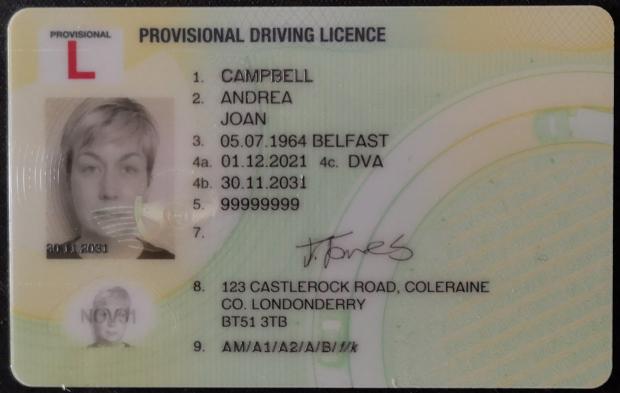Picture of the front of a provisional driving licence