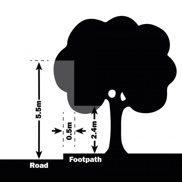 Clearance for roadside trees and hedges diagram Diagram showing clearance heights for roadside or footpath trees and hedges