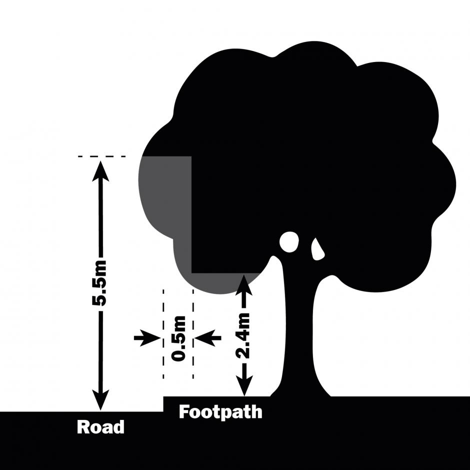Clearance for roadside trees and hedges diagram Diagram showing clearance for roadside trees and hedges